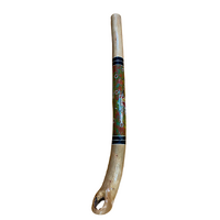 Eucalyptus (Red Boxwood)  handpainted Didgeridoo (1.26M ) - Emu (Green/Red)