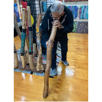 Eucalyptus (Red Boxwood) Handcarved Snake Didgeridoo (1.3m) Hand-Burnt Design