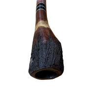 Eucalyptus (Ironbark) Handpainted Didgeridoo (1.52m) - Bell with Kangaroo (Red/Orange)