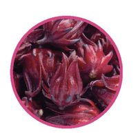 NATIF Rosella Powder (20g) Hibiscus Sabdariffa