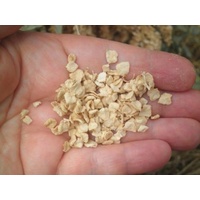 Footeside Farm Saltbush Seed - 40g