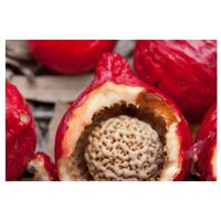 Australian Superfood - Quandong Extract (50ml)