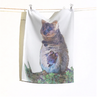 Better World Aboriginal Art Digital Print Cotton Teatowel - Quokka (Setonix brachyurus)