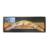 Aboriginal Landscape Art handpainted Giftboxed Boomerang & Stand (35cm)