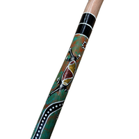 Eucalyptus (Boxwood) handpainted Didgeridoo (1.05M) Lizard (Orange/Green)