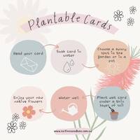 Native Seed Box Plantable Greeting Card - Christmas Mini (Set 3)