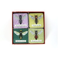 Native Bees of Australia Memory Game [36 pairs]