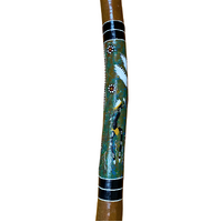 Eucalyptus handpainted Didgeridoo -  Winged Brolga