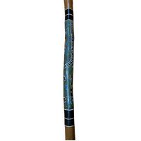 Eucalyptus handpainted Didgeridoo -  Goanna and Warrior