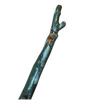 Eucalyptus (Woollybutt) handpainted Didgeridoo [1.43M] - Goanna Tree