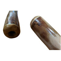 Eucalyptus (Ironbark) handpainted Didgeridoo (1.16m) - Flared End with Lizard