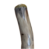 Eucalyptus (Ironbark) Handpainted Didgeridoo (1.37m) - Flared End with Emu (Orange)