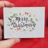 Native Seed Box Plantable Greeting Card - Christmas Mini (Set 3)