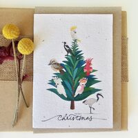 Native Seed Box Plantable Greeting Card - Xmas Tree-Native Birds