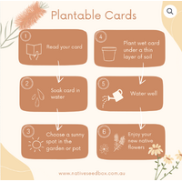 Native Seed Box Plantable Greeting Card - Christmas Native Animals Gift Tags - Square (Set 4)