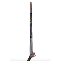 Eucalyptus (Woollybutt) handpainted Didgeridoo [1.4M] - Goanna and Warrior