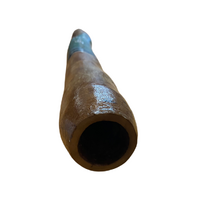 Eucalyptus handpainted Didgeridoo -  Emu