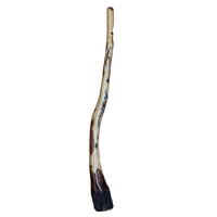 Eucalyptus (Ironbark) Handpainted Didgeridoo (1.32m) - Flared End with Lizard