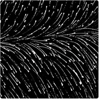 Dropping Seeds (Black) - Aboriginal design Cotton Fabric