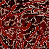 Yellow Bush Plum (Red) [SCRAP 0.75M] - Aboriginal design Fabric