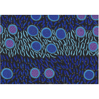 Wild Seeds &amp; Bush Tucker (Blue) - Aboriginal design Fabric