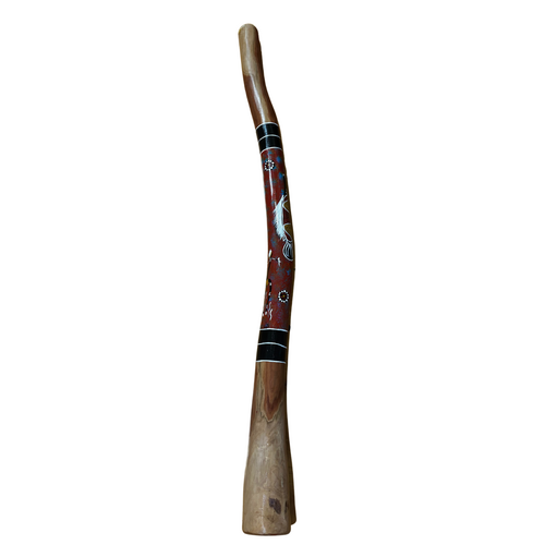 Eucalyptus (Woollybutt) handpainted Didgeridoo (1.36m) - Flared End with Fish