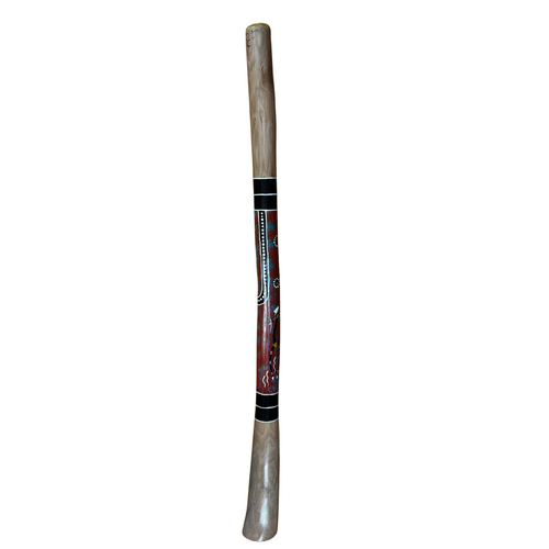  Eucalyptus handpainted wollybutt Didgeridoo [1.37m] - Brolga 