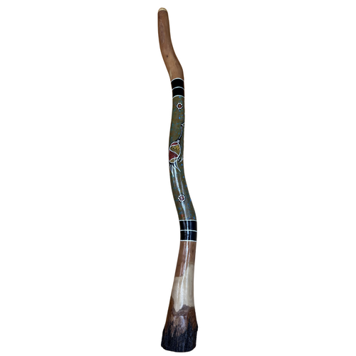 Eucalyptus (Ironbark) Handpainted Didgeridoo (1.3m) - Flared End with Brolga (Green)