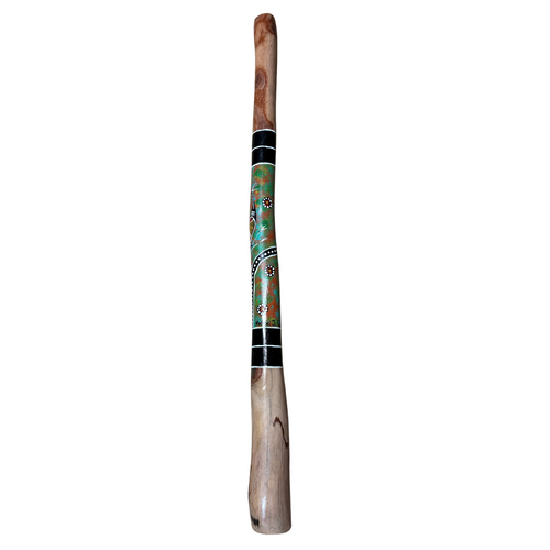 Eucalyptus (Boxwood) handpainted Didgeridoo (1.1M) Brolga (Orange/Green)