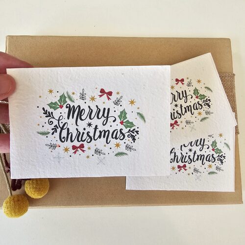 Native Seed Box Plantable Greeting Card - Christmas Mini (Set 3)