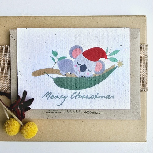 Native Seed Box Plantable Greeting Card - Xmas Koala