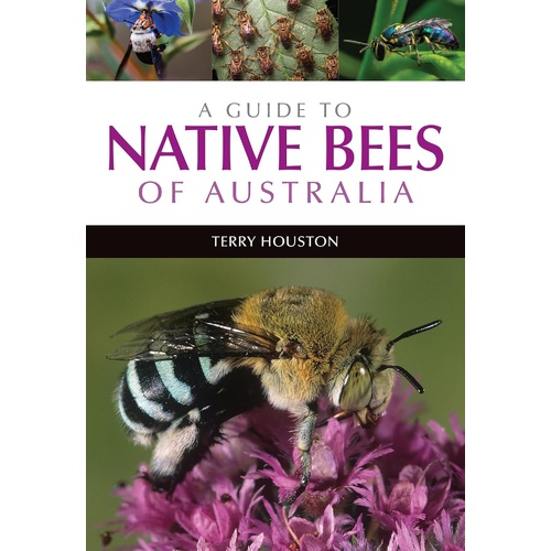 A Guide to Native Bees of Australia [SC] - a Reference Text