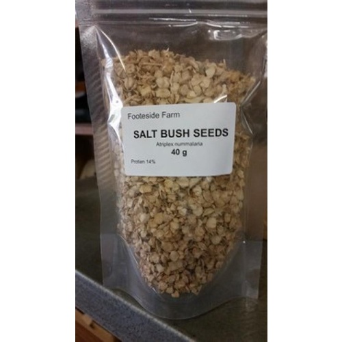 Footeside Farm Saltbush Seed - 40g