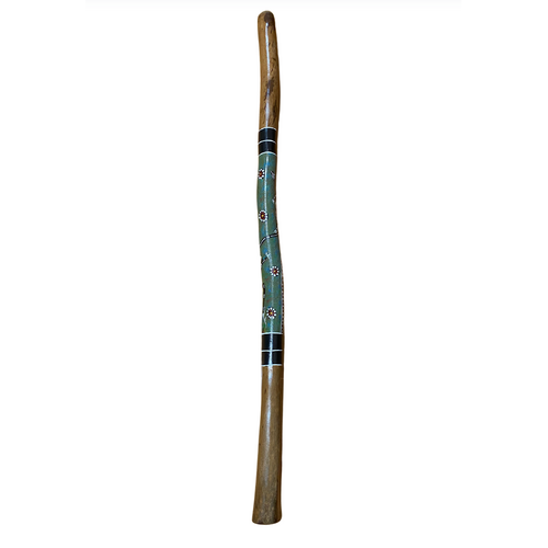 Eucalyptus handpainted Didgeridoo -  Goanna and Warrior