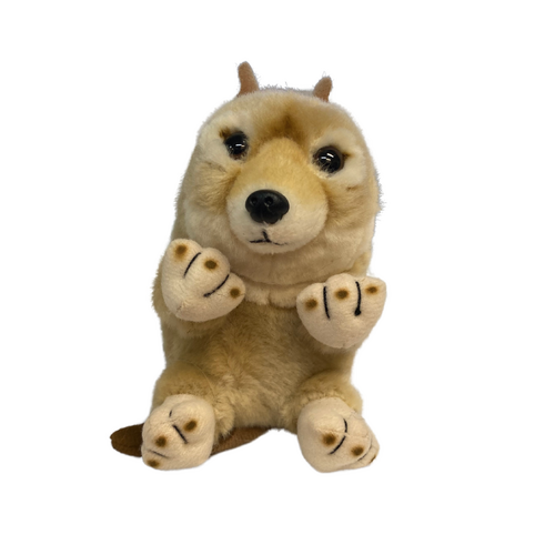 Plush Toy - Baby Dingo Pup (13cm)