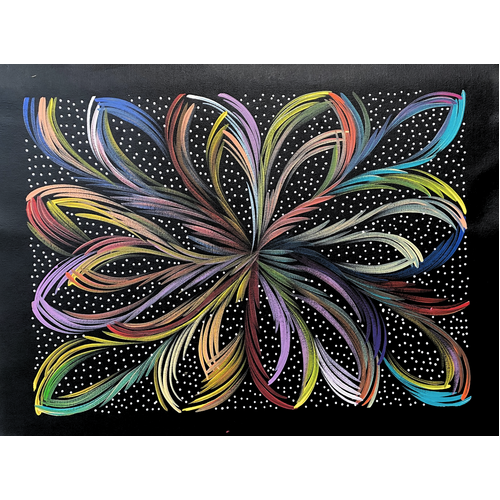 Raintree Aboriginal Art UNStretched Canvas (60cm x 45cm) - Bush Medicine Leaves with Seed (Multi)